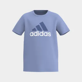Adidas Essentials Big Logo 2 Tee Blue _ 181993 _ Blue