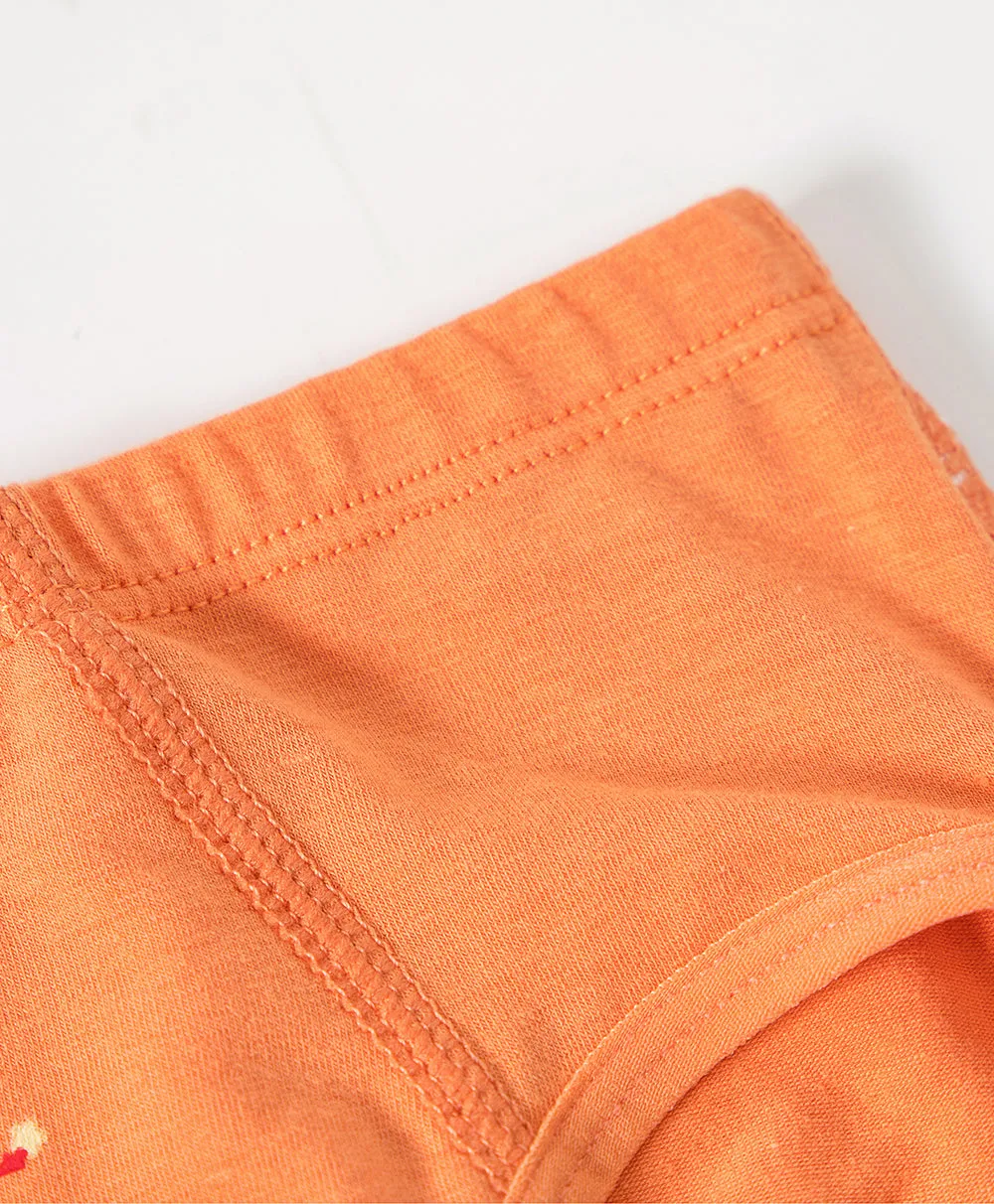 Junior Summer Camp BOYS Briefs 3-packs