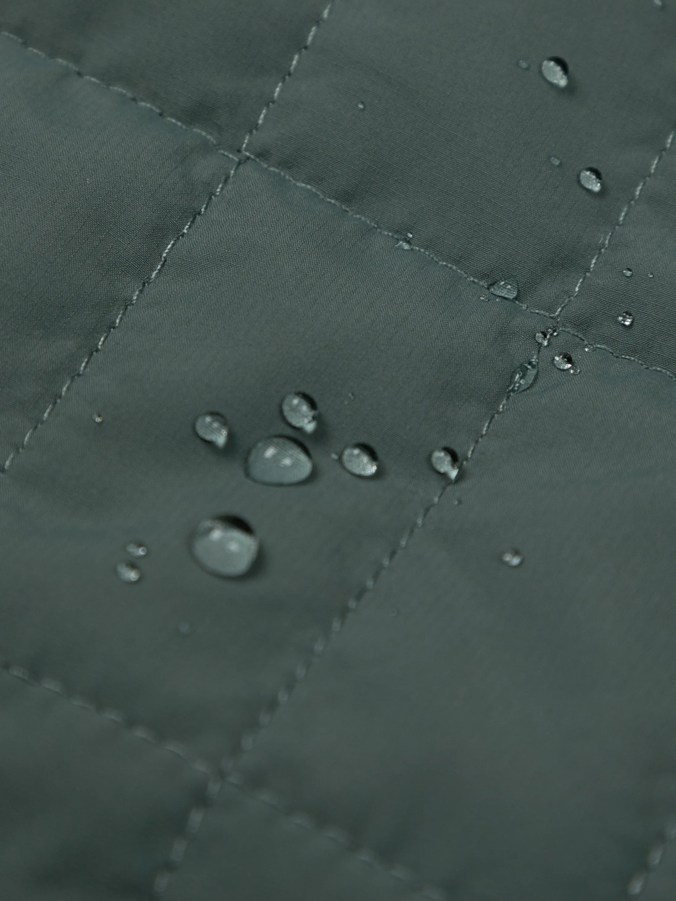 Women's Firecrest Hooded Jacket